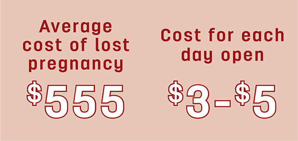 Average cost of lost pregnancy