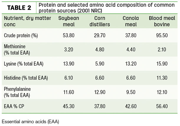 Protein and selected amino acid composition of common protein sources