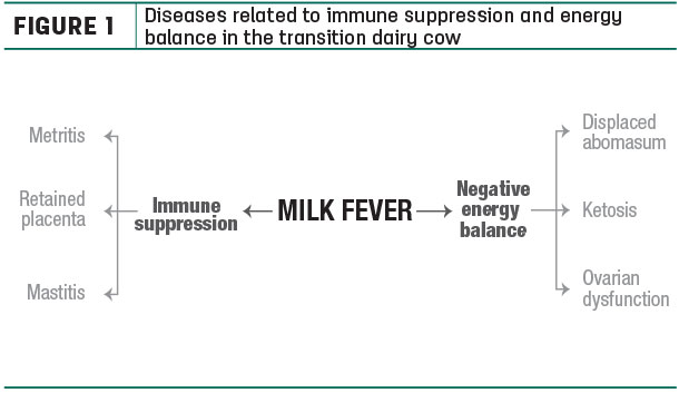 Diseases related to immune suppression and energy