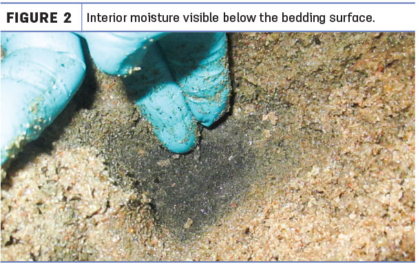Interior moisture visible below the bedding surface
