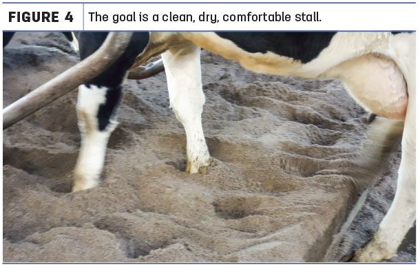 The goal is a clean, dry, comfortable stall