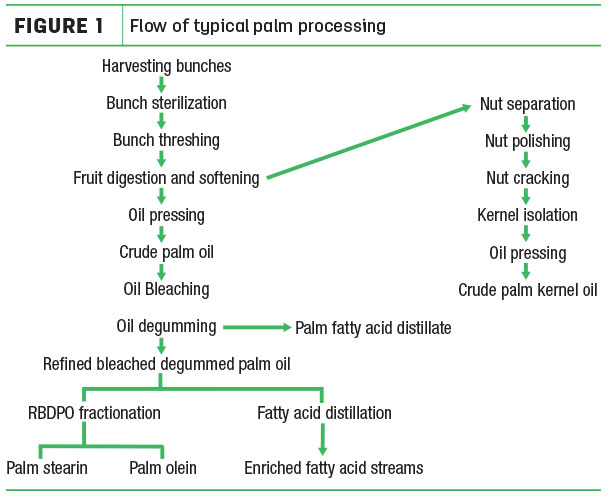 Flow of typical palm processing