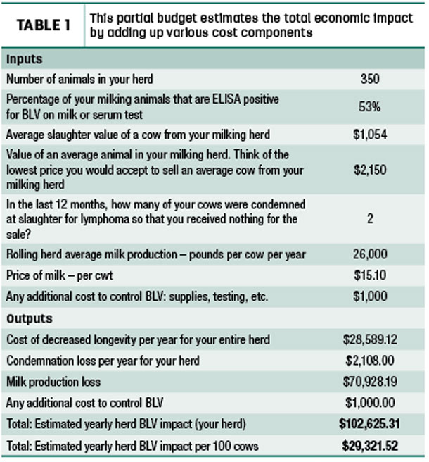Budget estimiting the total economic impact by adding up various cost components