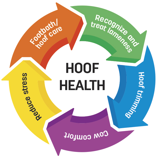 Hoof Health