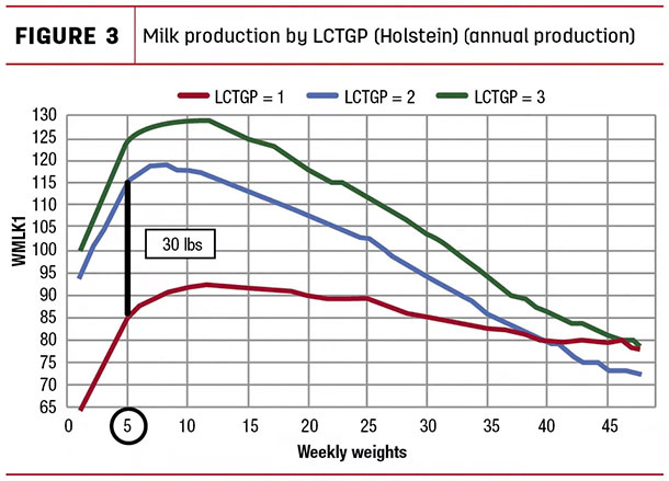 Milk production by LCTGP