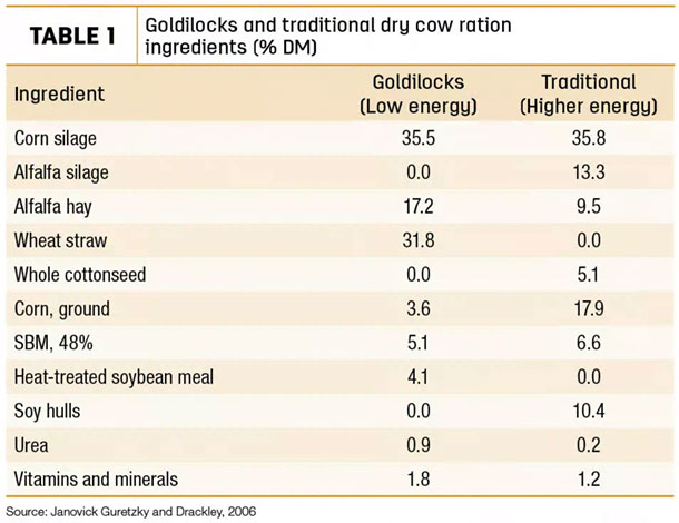 Goldilocks and traditional dry cow ration