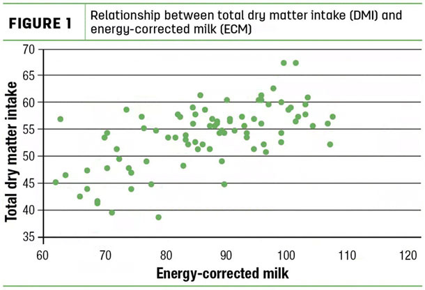 Relationship between total dry matter intake