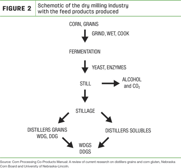 Schematic of the dry milling industry