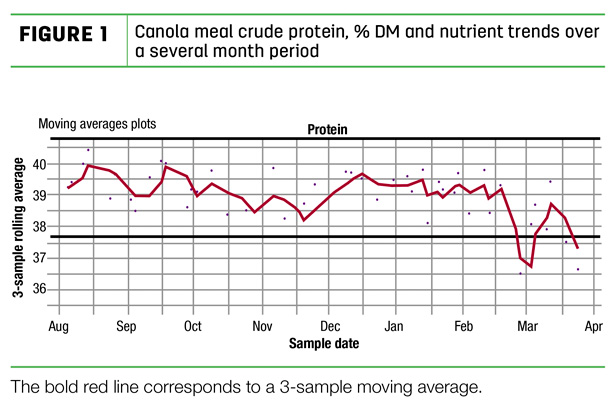 Canola meal crude protein